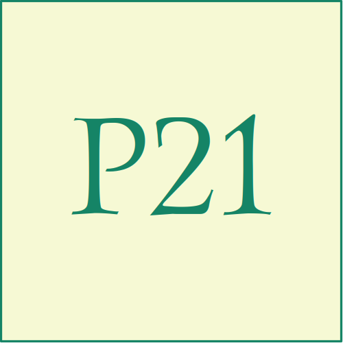 Play Twenty One Logo